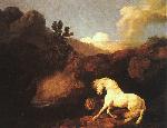 George Stubbs, 